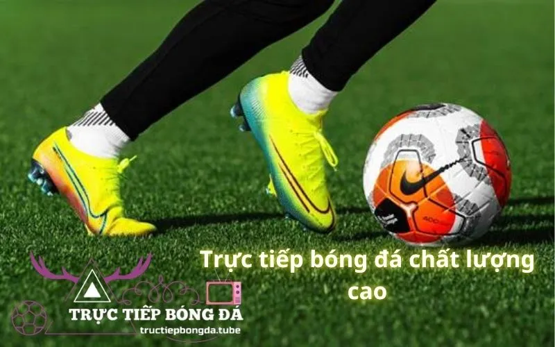 Tructiepbongda chất lượng cao cho người dùng