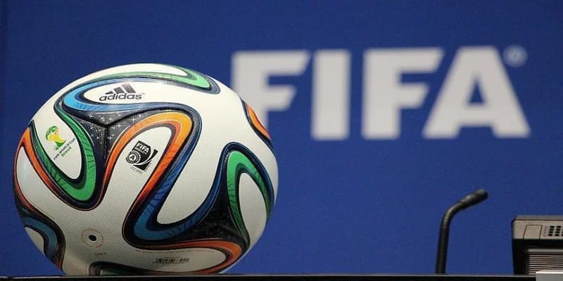 FIFA đóng góp nhiều vai trò quan trọng trong việc phát triển nền bóng đá thế giới